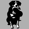 Stray Dogs Sanctuary